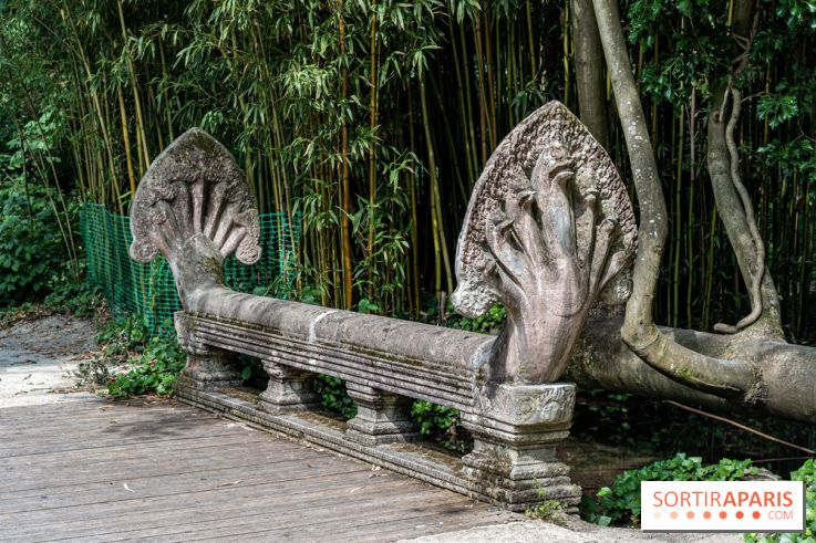 Jardin d'Agronomie Tropicale, le jardin exotique à Paris -  A7C6812