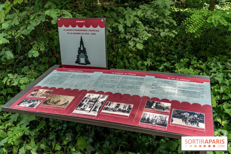 Jardin d'Agronomie Tropicale, le jardin exotique à Paris