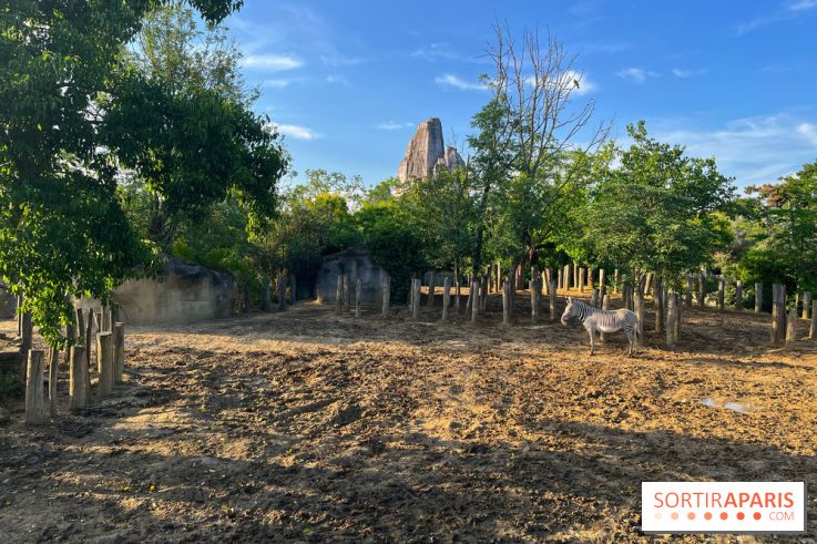 Nocturnes au Parc Zoologique de Paris - IMG 3495