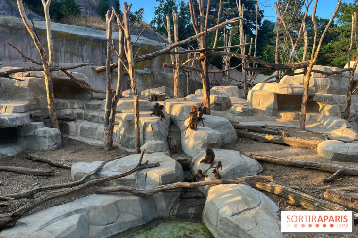 Nocturnes au Parc Zoologique de Paris - IMG 3517