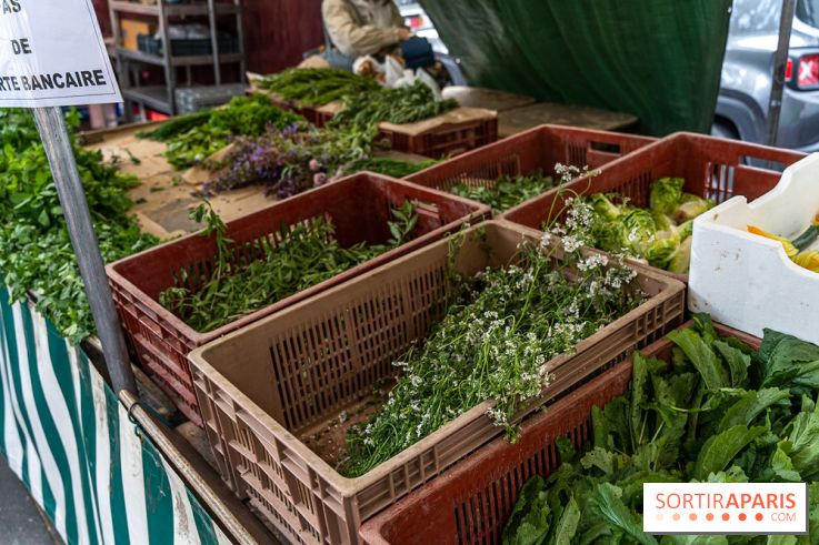 Escapade au Marché, le cours de cuisine du Ritz -  A7C5250
