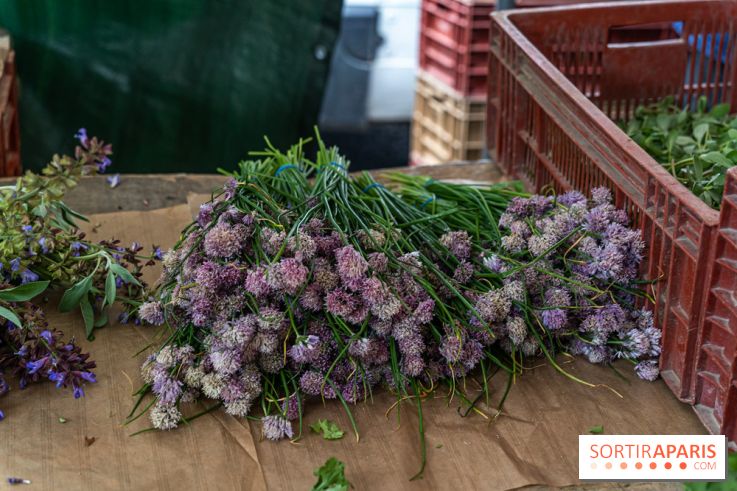 Escapade au Marché, le cours de cuisine du Ritz -  A7C5252