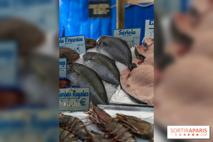 Escapade au Marché, le cours de cuisine du Ritz -  A7C5265