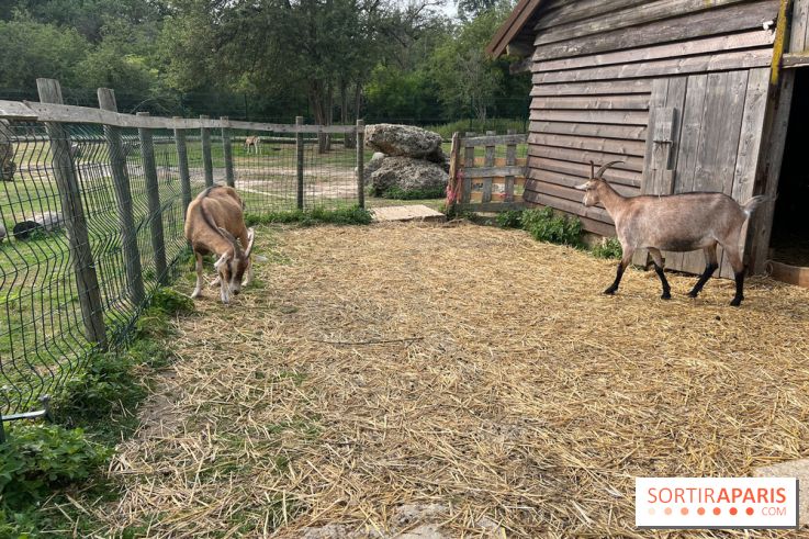 Base de loisirs de Saint-Quentin-en-Yvelines - Ile de loisirs de Trappes - activités - IMG 8641