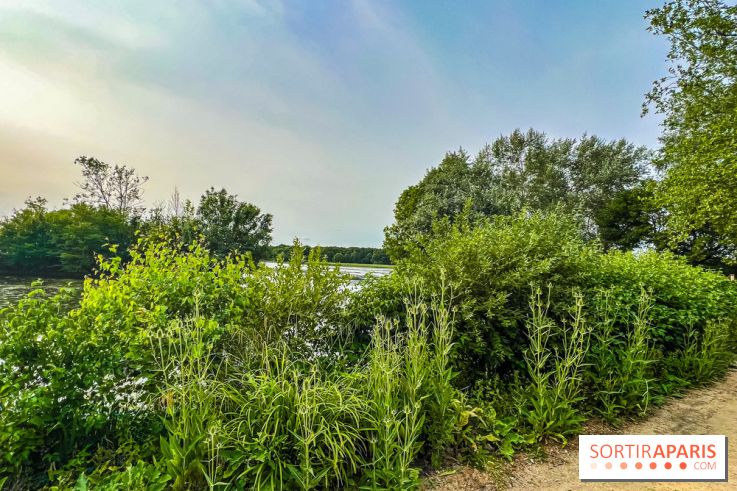 Base de loisirs de Saint-Quentin-en-Yvelines - Ile de loisirs de Trappes - activités
