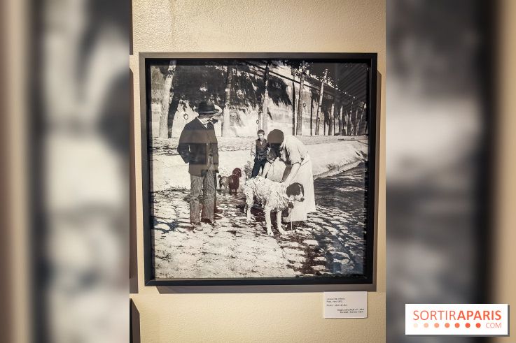 Paris Rive droite / Rive gauche : l'exposition photo autour de la Seine à la galerie Roger-Viollet  - IMG20230629093418