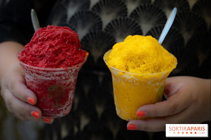 Granités-Neige de Jade Génin, l'Été Sous le Signe du Kakigori Réinventé -  A7C7553