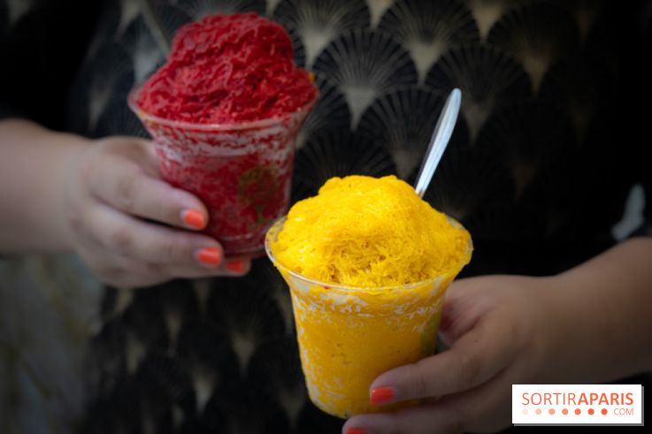 Granités-Neige de Jade Génin, l'Été Sous le Signe du Kakigori Réinventé -  A7C7556