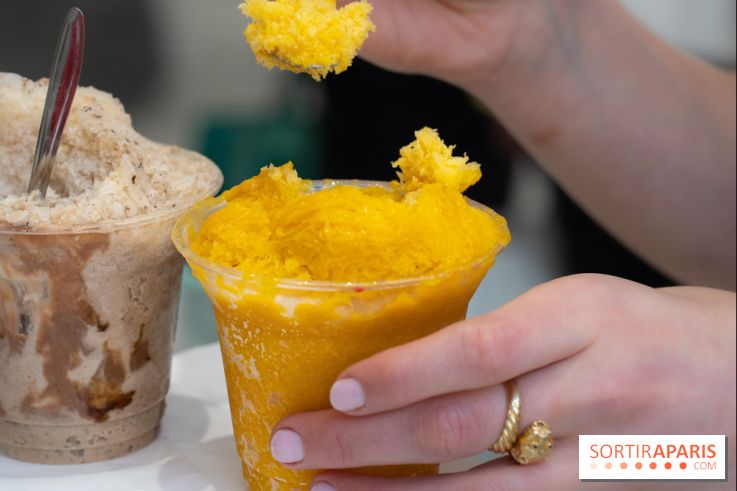 Granités-Neige de Jade Génin, l'Été Sous le Signe du Kakigori Réinventé -  A7C7575