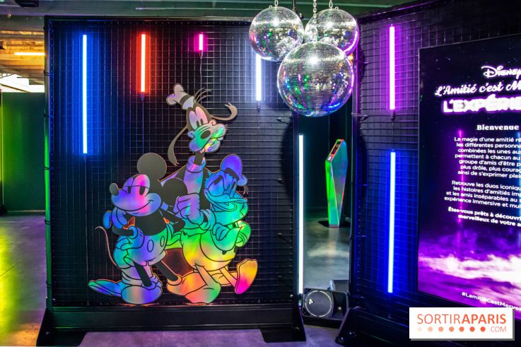 Disney 100 L'Amitié c'est Merveilleux