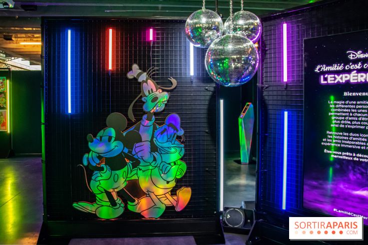 Disney 100 L'Amitié c'est Merveilleux