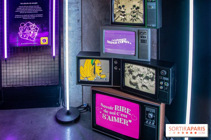 Disney 100 L'Amitié c'est Merveilleux