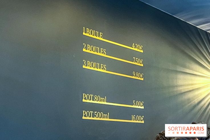 Le glacier Gérard Taurin à Paris - Meilleur Ouvrier de France - IMG 8723