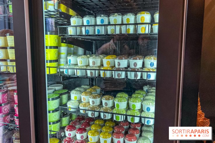 Le glacier Gérard Taurin à Paris - Meilleur Ouvrier de France - IMG 8726