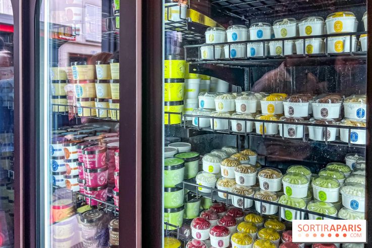 Le glacier Gérard Taurin à Paris - Meilleur Ouvrier de France - IMG 8727