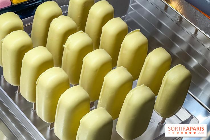 Le glacier Gérard Taurin à Paris - Meilleur Ouvrier de France - IMG 8728