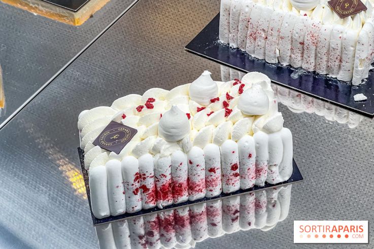 Le glacier Gérard Taurin à Paris - Meilleur Ouvrier de France - IMG 8729