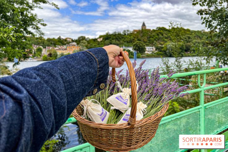 Fête de la Lavande sur le site Seine Aval Achères/Maisons-Laffitte