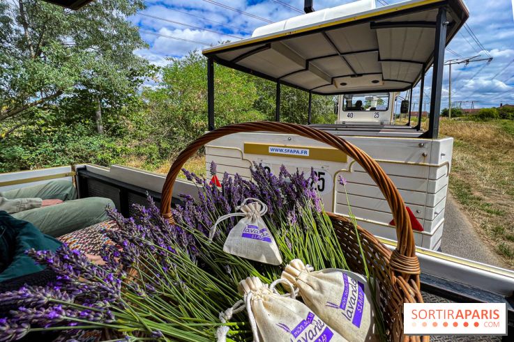Fête de la Lavande sur le site Seine Aval Achères/Maisons-Laffitte - image00007