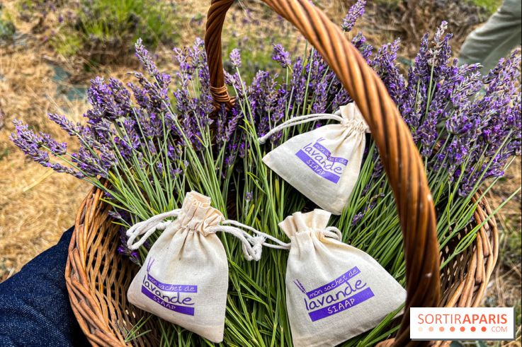 Fête de la Lavande sur le site Seine Aval Achères/Maisons-Laffitte - image00011