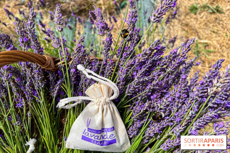 Fête de la Lavande sur le site Seine Aval Achères/Maisons-Laffitte - image00016