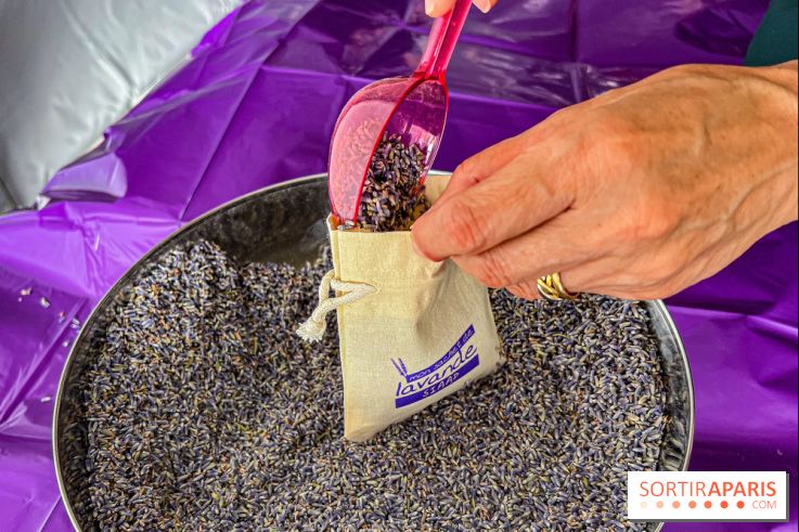 Fête de la Lavande sur le site Seine Aval Achères/Maisons-Laffitte - image00025