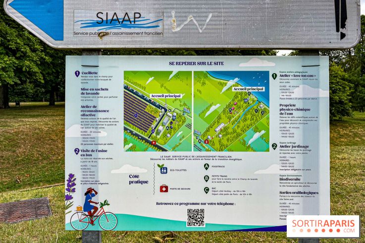 Fête de la Lavande sur le site Seine Aval Achères/Maisons-Laffitte