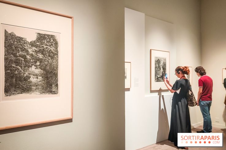 Graver la lumière, l'exposition qui met l'estampe à l'honneur, au musée Marmottan Monet - nos photos
