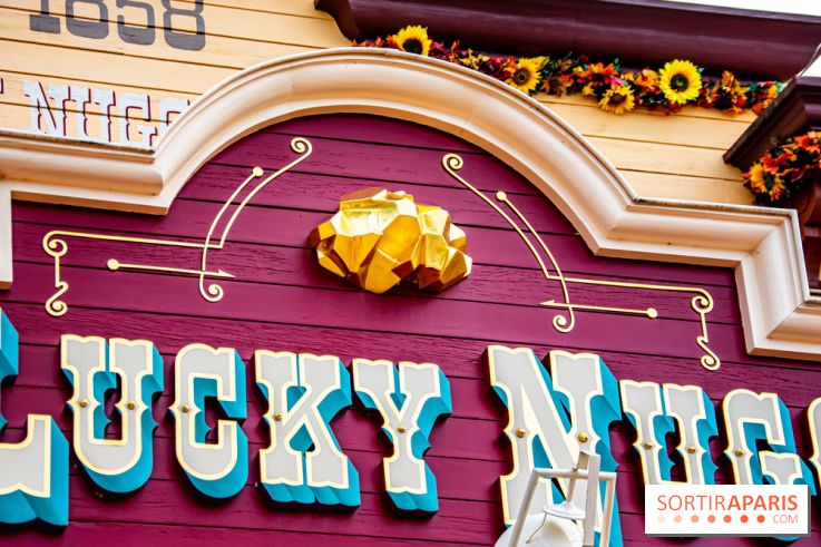 Disneyland Secrets visuels Lucky Nuggets