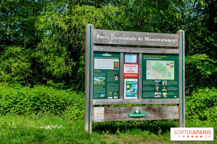 Balade nature dans la forêt de Montmorency, nos photos