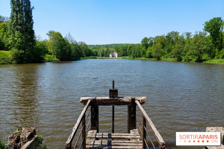 Balade nature dans la forêt de Montmorency, nos photos