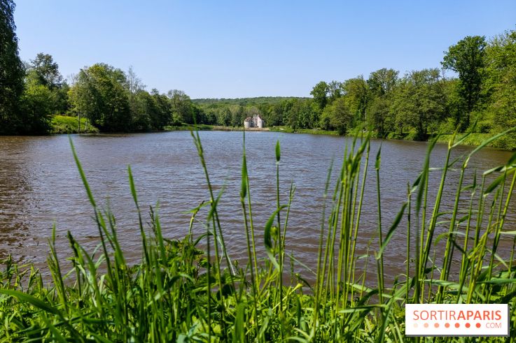 Balade nature dans la forêt de Montmorency, nos photos