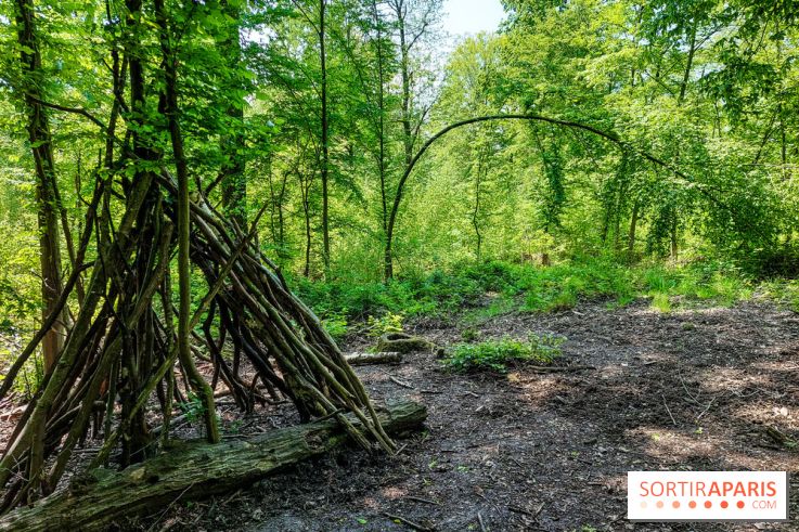 Balade nature dans la forêt de Montmorency, nos photos
