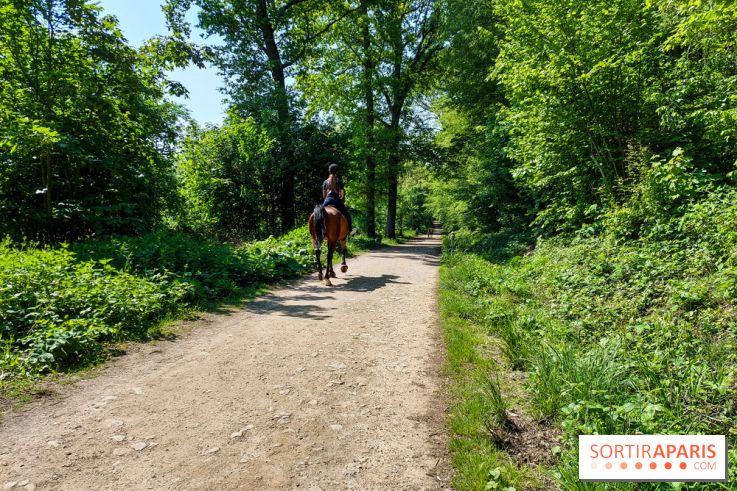 Balade nature dans la forêt de Montmorency, nos photos