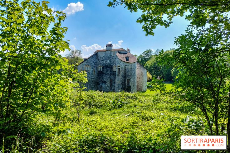 Balade nature dans la forêt de Montmorency, nos photos