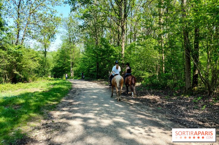 Balade nature dans la forêt de Montmorency, nos photos