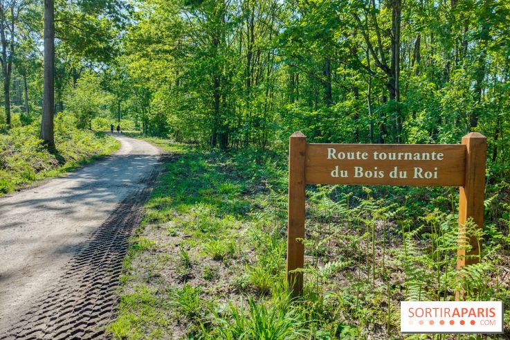 Balade nature dans la forêt de Montmorency, nos photos