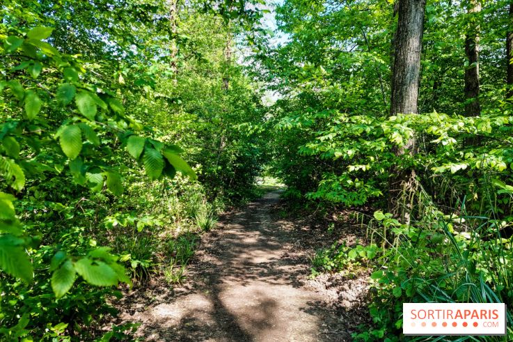 Balade nature dans la forêt de Montmorency, nos photos