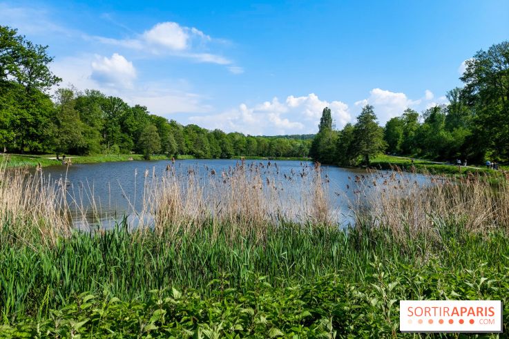 Balade nature dans la forêt de Montmorency, nos photos