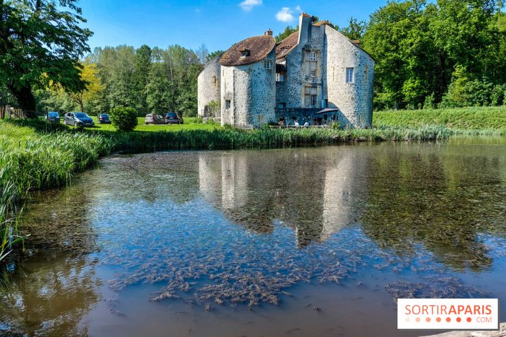 Balade nature dans la forêt de Montmorency, nos photos