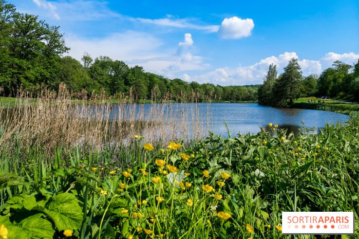 Balade nature dans la forêt de Montmorency, nos photos