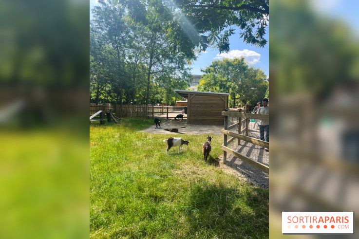 La ferme de la Villette et ses animaux