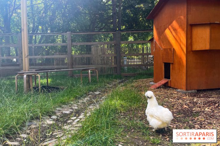 La ferme de la Villette et ses animaux