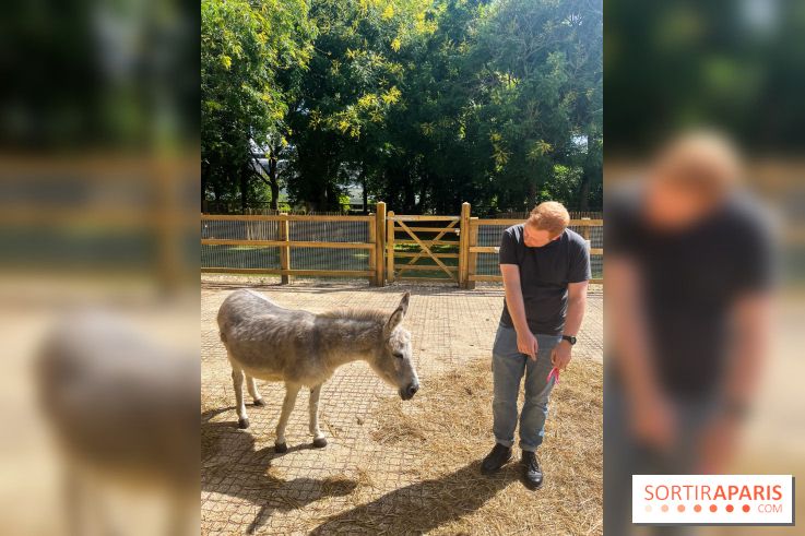 La ferme de la Villette et ses animaux
