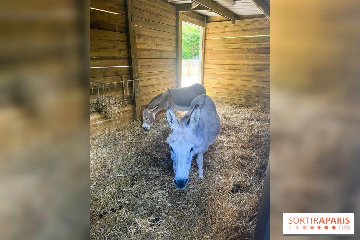 La ferme de la Villette et ses animaux