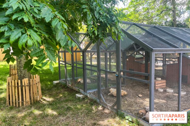 La ferme de la Villette et ses animaux