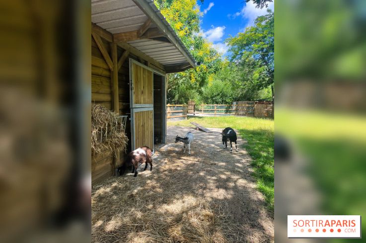 La ferme de la Villette et ses animaux