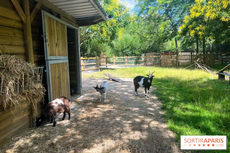 La ferme de la Villette et ses animaux