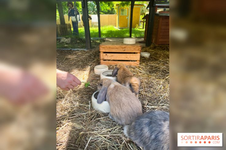 La ferme de la Villette et ses animaux