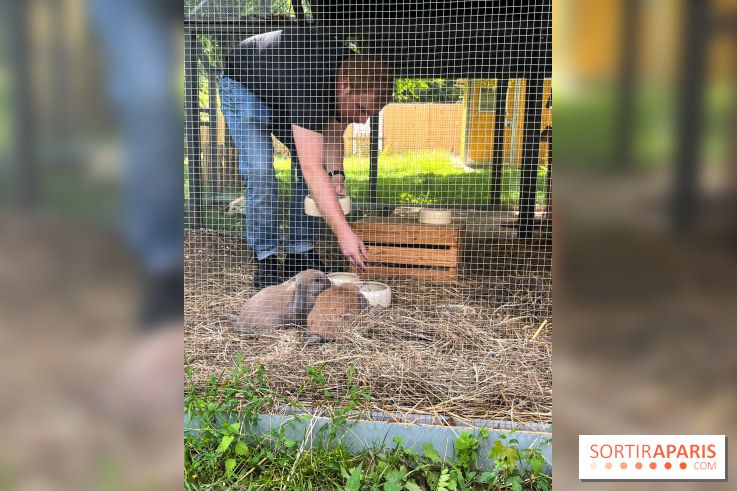 La ferme de la Villette et ses animaux